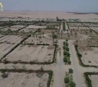 ¡TERRENOS EN PARACAS 1,200M2-ENTREGA INMEDIATA! 🌵🔥